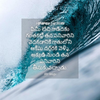 Picture 04 - 1 రాజులు 2:40 TELIRV - షిమీ లేచి గాడిదకు - Bible Verse Picture