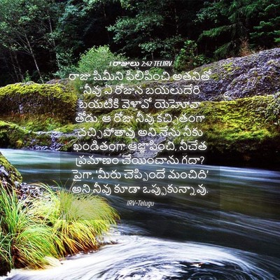 Picture 04 - 1 రాజులు 2:42 TELIRV - రాజు షిమీని - Bible Verse Picture