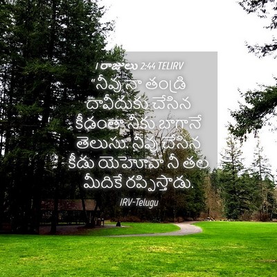 Picture 04 - 1 రాజులు 2:44 TELIRV - “నీవు నా తండ్రి - Bible Verse Picture