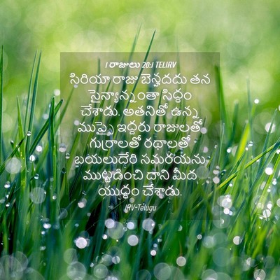 Picture 04 - 1 రాజులు 20:1 TELIRV - సిరియా రాజు - Bible Verse Picture