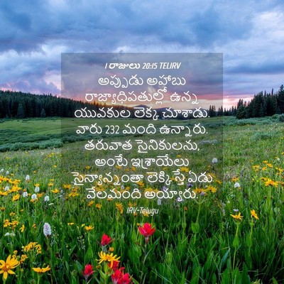 Picture 04 - 1 రాజులు 20:15 TELIRV - అప్పుడు అహాబు - Bible Verse Picture