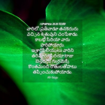 Picture 04 - 1 రాజులు 20:20 TELIRV - వారిలో ప్రతివాడూ - Bible Verse Picture