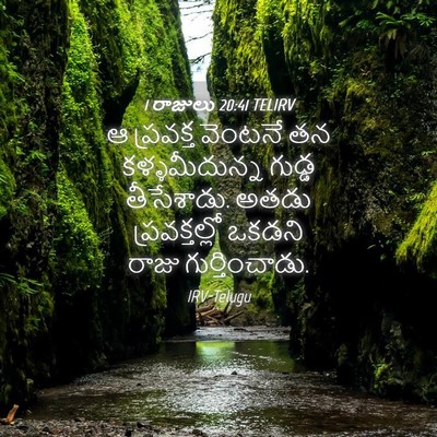 Picture 04 - 1 రాజులు 20:41 TELIRV - ఆ ప్రవక్త వెంటనే - Bible Verse Picture