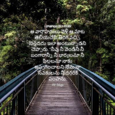 Picture 04 - 1 రాజులు 20:5 TELIRV - ఆ వార్తాహరులు - Bible Verse Picture