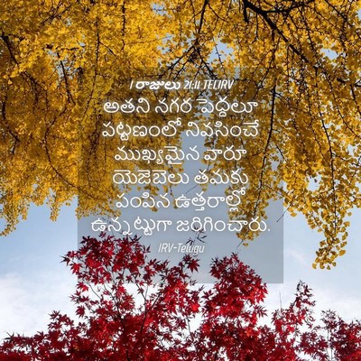 Picture 04 - 1 రాజులు 21:11 TELIRV - అతని నగర పెద్దలూ - Bible Verse Picture