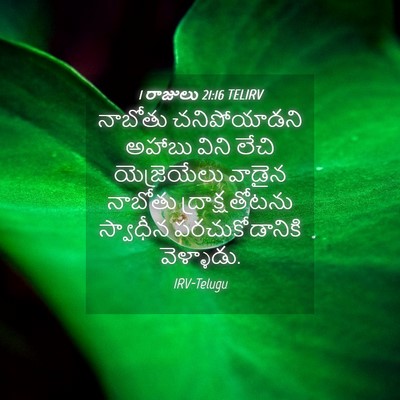 Picture 04 - 1 రాజులు 21:16 TELIRV - నాబోతు చనిపోయాడని - Bible Verse Picture