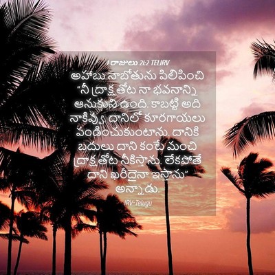 Picture 04 - 1 రాజులు 21:2 TELIRV - అహాబు నాబోతును - Bible Verse Picture