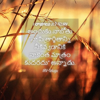 Picture 04 - 1 రాజులు 21:3 TELIRV - అందుకు నాబోతు “నా - Bible Verse Picture