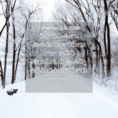 Picture 04 - 1 రాజులు 22:33 TELIRV - రథాధిపతులు అతడు - Bible Verse Picture