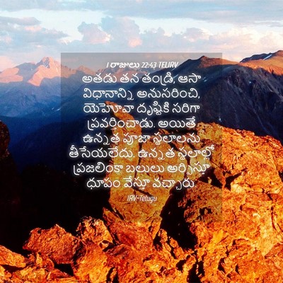 Picture 04 - 1 రాజులు 22:43 TELIRV - అతడు తన తండ్రి, ఆసా - Bible Verse Picture