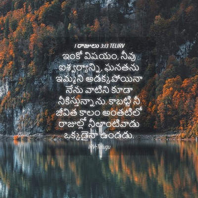Picture 04 - 1 రాజులు 3:13 TELIRV - ఇంకో విషయం, నీవు - Bible Verse Picture