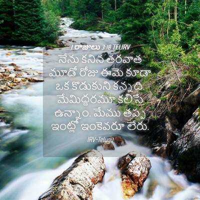 Picture 04 - 1 రాజులు 3:18 TELIRV - నేను కనిన తరవాత - Bible Verse Picture