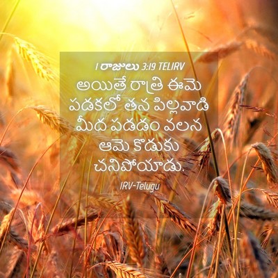 Picture 04 - 1 రాజులు 3:19 TELIRV - అయితే రాత్రి ఈమె - Bible Verse Picture
