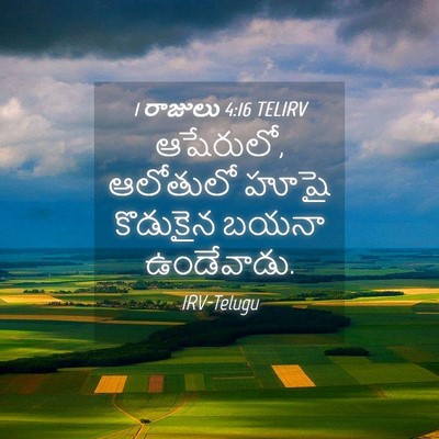 Picture 04 - 1 రాజులు 4:16 TELIRV - ఆషేరులో, ఆలోతులో - Bible Verse Picture