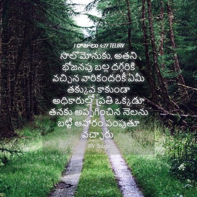 Picture 04 - 1 రాజులు 4:27 TELIRV - సొలొమోనుకు, అతని - Bible Verse Picture