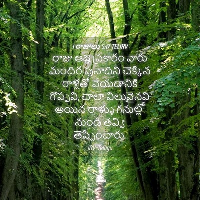 Picture 04 - 1 రాజులు 5:17 TELIRV - రాజు ఆజ్ఞ ప్రకారం - Bible Verse Picture
