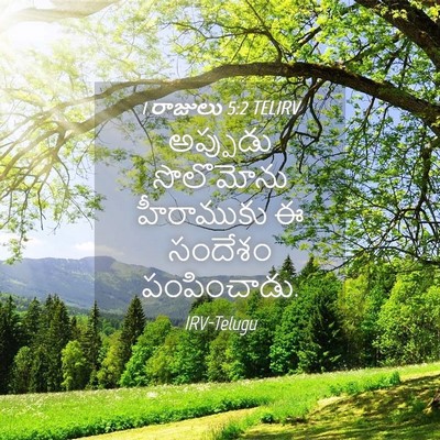 Picture 04 - 1 రాజులు 5:2 TELIRV - అప్పుడు సొలొమోను - Bible Verse Picture