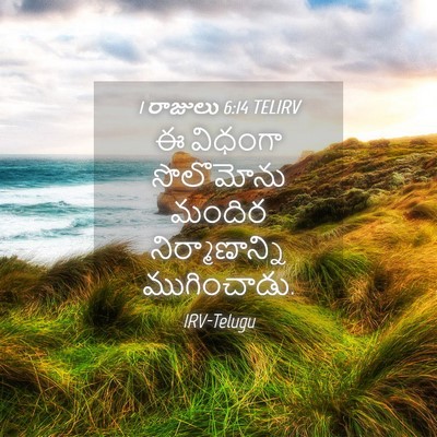 Picture 04 - 1 రాజులు 6:14 TELIRV - ఈ విధంగా సొలొమోను - Bible Verse Picture