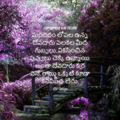 Picture 04 - 1 రాజులు 6:18 TELIRV - మందిరం లోపల ఉన్న - Bible Verse Picture