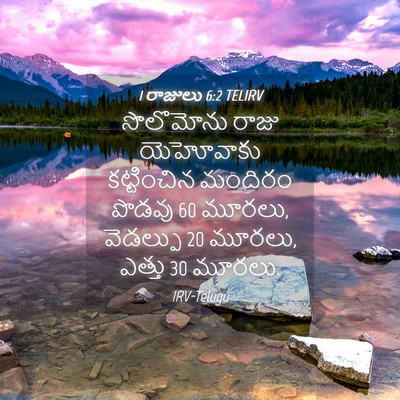 Picture 04 - 1 రాజులు 6:2 TELIRV - సొలొమోను రాజు - Bible Verse Picture