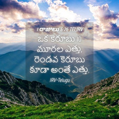 Picture 04 - 1 రాజులు 6:26 TELIRV - ఒక కెరూబు 10 మూరల - Bible Verse Picture