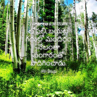 Picture 04 - 1 రాజులు 6:30 TELIRV - లోపలి, బయట గదుల్లో - Bible Verse Picture