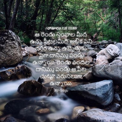 Picture 04 - 1 రాజులు 7:20 TELIRV - ఆ రెండు స్తంభాల - Bible Verse Picture