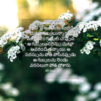 Picture 04 - 1 రాజులు 7:24 TELIRV - దాని పై అంచుకు - Bible Verse Picture