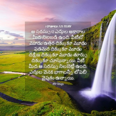 Picture 04 - 1 రాజులు 7:25 TELIRV - ఆ సరస్సు 12 ఎద్దుల - Bible Verse Picture