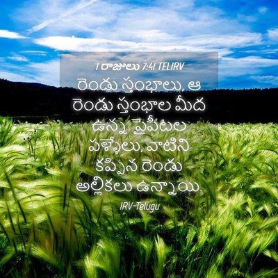 Picture 04 - 1 రాజులు 7:41 TELIRV - రెండు స్తంభాలు, ఆ - Bible Verse Picture