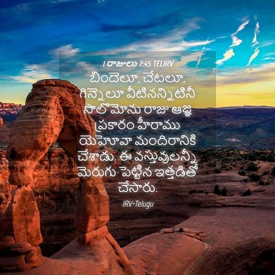 Picture 04 - 1 రాజులు 7:45 TELIRV - బిందెలూ, చేటలూ, - Bible Verse Picture