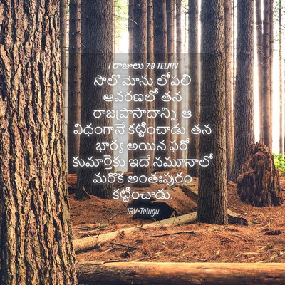 Picture 04 - 1 రాజులు 7:8 TELIRV - సొలొమోను లోపలి - Bible Verse Picture