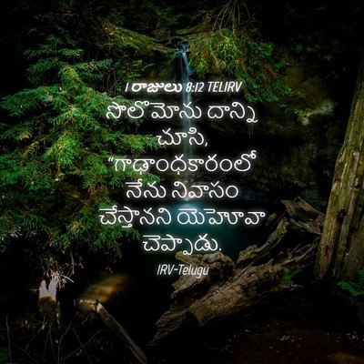Picture 04 - 1 రాజులు 8:12 TELIRV - సొలొమోను దాన్ని - Bible Verse Picture