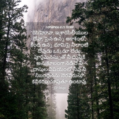 Picture 04 - 1 రాజులు 8:23 TELIRV - “యెహోవా, - Bible Verse Picture