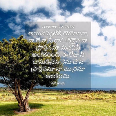 Picture 04 - 1 రాజులు 8:28 TELIRV - అయినప్పటికీ, - Bible Verse Picture