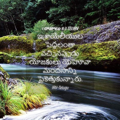 Picture 04 - 1 రాజులు 8:3 TELIRV - ఇశ్రాయేలీయుల - Bible Verse Picture