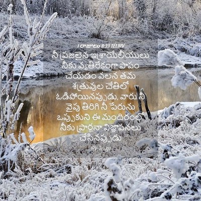 Picture 04 - 1 రాజులు 8:33 TELIRV - నీ ప్రజలైన - Bible Verse Picture