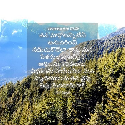 Picture 04 - 1 రాజులు 8:58 TELIRV - తన - Bible Verse Picture