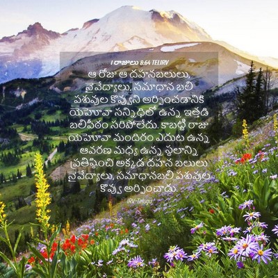 Picture 04 - 1 రాజులు 8:64 TELIRV - ఆ రోజు ఆ దహనబలులు, - Bible Verse Picture