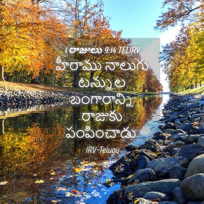 Picture 04 - 1 రాజులు 9:14 TELIRV - హీరాము నాలుగు - Bible Verse Picture