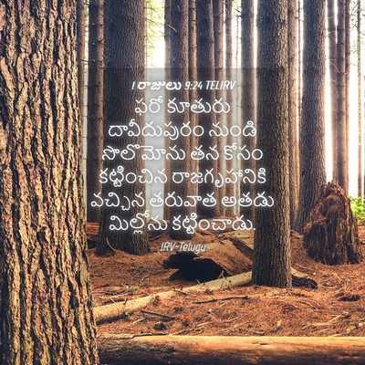 Picture 04 - 1 రాజులు 9:24 TELIRV - ఫరో కూతురు - Bible Verse Picture