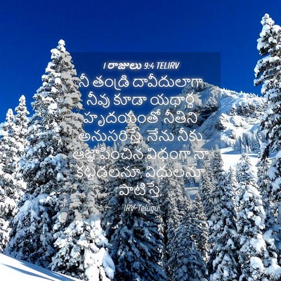 Picture 04 - 1 రాజులు 9:4 TELIRV - నీ తండ్రి - Bible Verse Picture