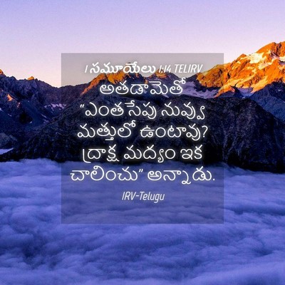 Picture 04 - 1 సమూయేలు 1:14 TELIRV - అతడామెతో “ఎంతసేపు - Bible Verse Picture