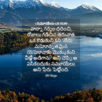 Picture 04 - 1 సమూయేలు 1:20 TELIRV - హన్నా గర్భం - Bible Verse Picture
