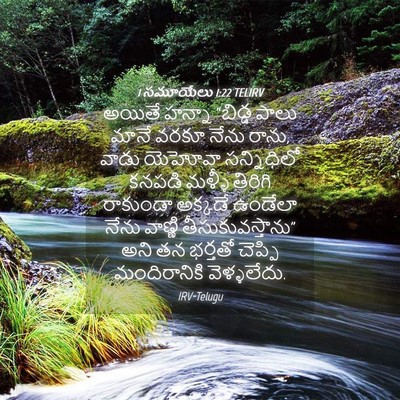 Picture 04 - 1 సమూయేలు 1:22 TELIRV - అయితే హన్నా - Bible Verse Picture