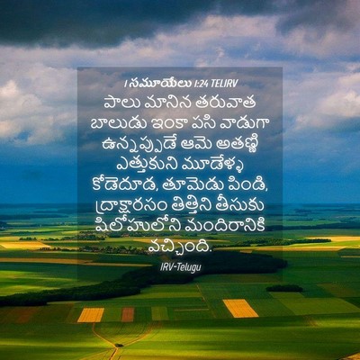 Picture 04 - 1 సమూయేలు 1:24 TELIRV - పాలు మానిన తరువాత - Bible Verse Picture
