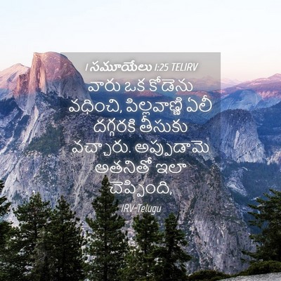 Picture 04 - 1 సమూయేలు 1:25 TELIRV - వారు ఒక కోడెను - Bible Verse Picture