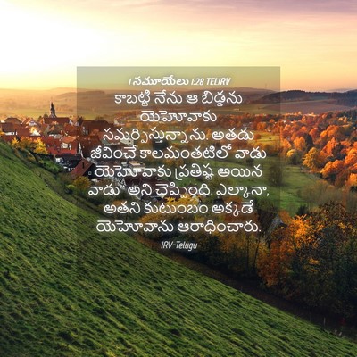 Picture 04 - 1 సమూయేలు 1:28 TELIRV - కాబట్టి నేను ఆ - Bible Verse Picture