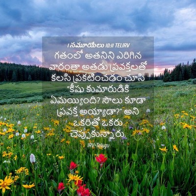 Picture 04 - 1 సమూయేలు 10:11 TELIRV - గతంలో అతనిని - Bible Verse Picture