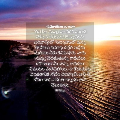 Picture 04 - 1 సమూయేలు 10:2 TELIRV - “ఈ రోజు నువ్వు నా - Bible Verse Picture